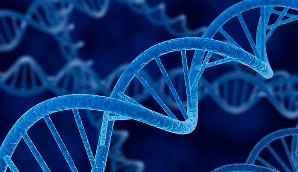 Por que o câncer é cada vez mais comum?